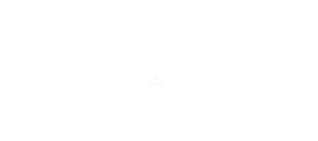 Mint Security logo